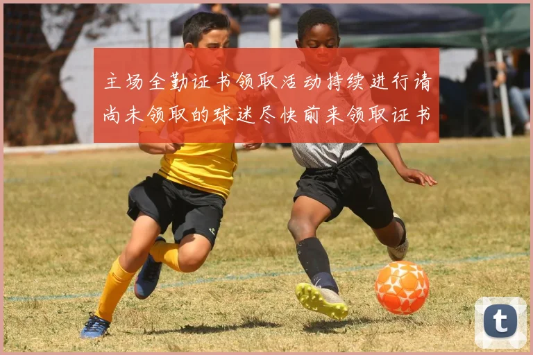 主场全勤证书领取活动持续进行请尚未领取的球迷尽快前来领取证书